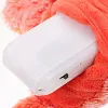Jouet interactif &eacute;lectrique de disquette de chien de chat