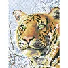 Tiger - 9CT Partial Beaded Cross Stitch Kit(20x28cm)