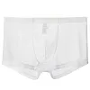Men's sexy ultra-thin transparent mesh boxer briefs