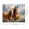 Horse-Paint by Numbers Acrylic Painting 50*40CM