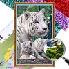 Tigers - 9CT Full Beaded Cross Stitch Kit(35x58cm)