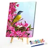 【Limited Stock Sale】Twig Sparrow-Paint by Numbers Acrylic Painting 40*50CM