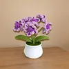 4Pcs Potted Plants Crochet Kit DIY Crochet Starter Kit Crochet Set for Beginners