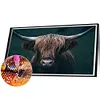 >SALE<5D DIY Full Round Drill Diamond Painting Yak Kit Home Decoration Art Craft (2)