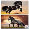 2Pack Horse- AB Drills Full Round Diamond Painting(85x45cm)