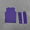 2025/2026 Real Madrid Pre-Match Training Purple Vest+Shorts Football1:1 Thai Quality