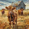 Highland Cattle-Full Embroidery 2 Strands 14CT Stamped Cross Stitch-40*40CM