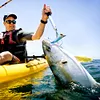 Luminous Fishing Lure 90mm 7g Squid Jigs Fishing Bait Prawn Hook Artificial Bait
