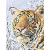 Tiger - 9CT Partial Beaded Cross Stitch Kit(20x28cm)