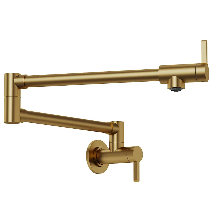 EVERSTEIN 2-Handle Wall Mount Pot Filler Kitchen Faucet in Brushed Gold
