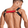 Dominator Harness