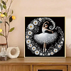 Ballet Girl-Special Shaped Diamond Painting Kit