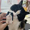 Customized Cat Dog Handmade Square Plushie Keychain Bag Charm Send Pics to bruce663@foxmail.com