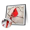 (3Pcs）Flower Animal-Paint by Numbers Acrylic Painting 20*20cm
