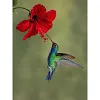 Birds-Full Square Diamond Painting(35x45cm)