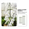 🔥2024 HOT SALE🔥Plant Support Stake