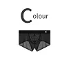 Men's Ultra-Thin Ice Mesh Transparent Sexy Boxers