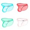 Men's Briefs Ultra-thin Transparent Bulge Pouch Underwear Sexy Low Rise Breathable Panties