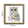 Owl DIY Special Shape Double sided Print Clear Diamond Art Kit Wooden Framed Diamond Painting Kit(22x22cm)