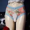 Sexy fully transparent mesh printed mid-waist lace bullet separate panties