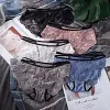 Lace Pure Desire Mesh Sexy Transparent Briefs