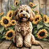 Teddy-Peinture diamant foret rond-40*40cm
