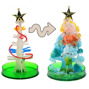 Do-it-yourself magical growing Christmas tree