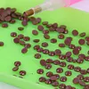 1 Bag Round Drill Resin Rhinestones(DMC 779)