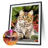 Diamond Painting -DIY Round Drill Cute Cat