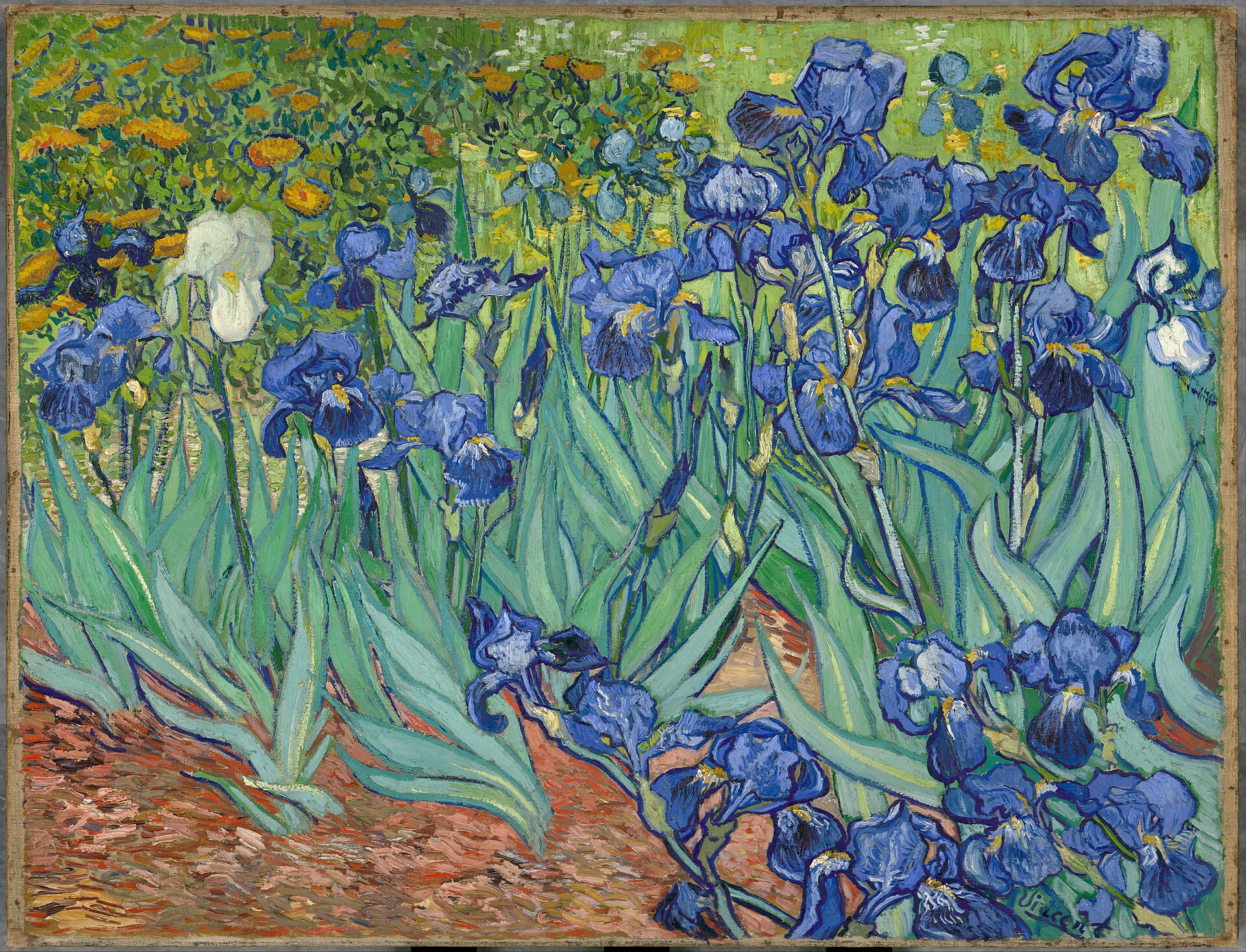 Irises - Paint by Numbers-30*40cm/40*50cm