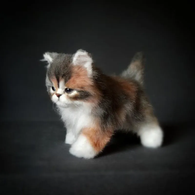 COMPANION PET CAT