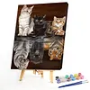 Fierce Gentle-Paint by Numbers Acrylic Painting 40*50CM
