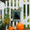 Cat - Wooden Signs - 30*40cm