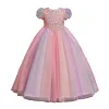 Spring Autumn Flower Kid Girl Princess Dress