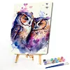 Two Owls-Paint By Numbers Acrylic Painting 40*50CM