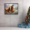 Horse-Paint by Numbers Acrylic Painting 50*40CM