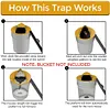 🎉2024 New Year Promotion 30% Off - Bucket Lid Mouse Trap