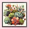 Succulent - 14CT Stamped Cross Stitch - 40*40cm - Flower
