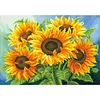 Sunflower - 11CT Full Beaded Cross Stitch Kit(65x50cm)