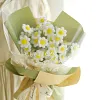 DIY Handmade Twist Stick Craft White Daisy Bouquet Chenille Stems Craft Pipe Cleaners Gift Decor Set