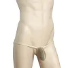 Men's Sexy Low Waist Mesh Transparent Briefs