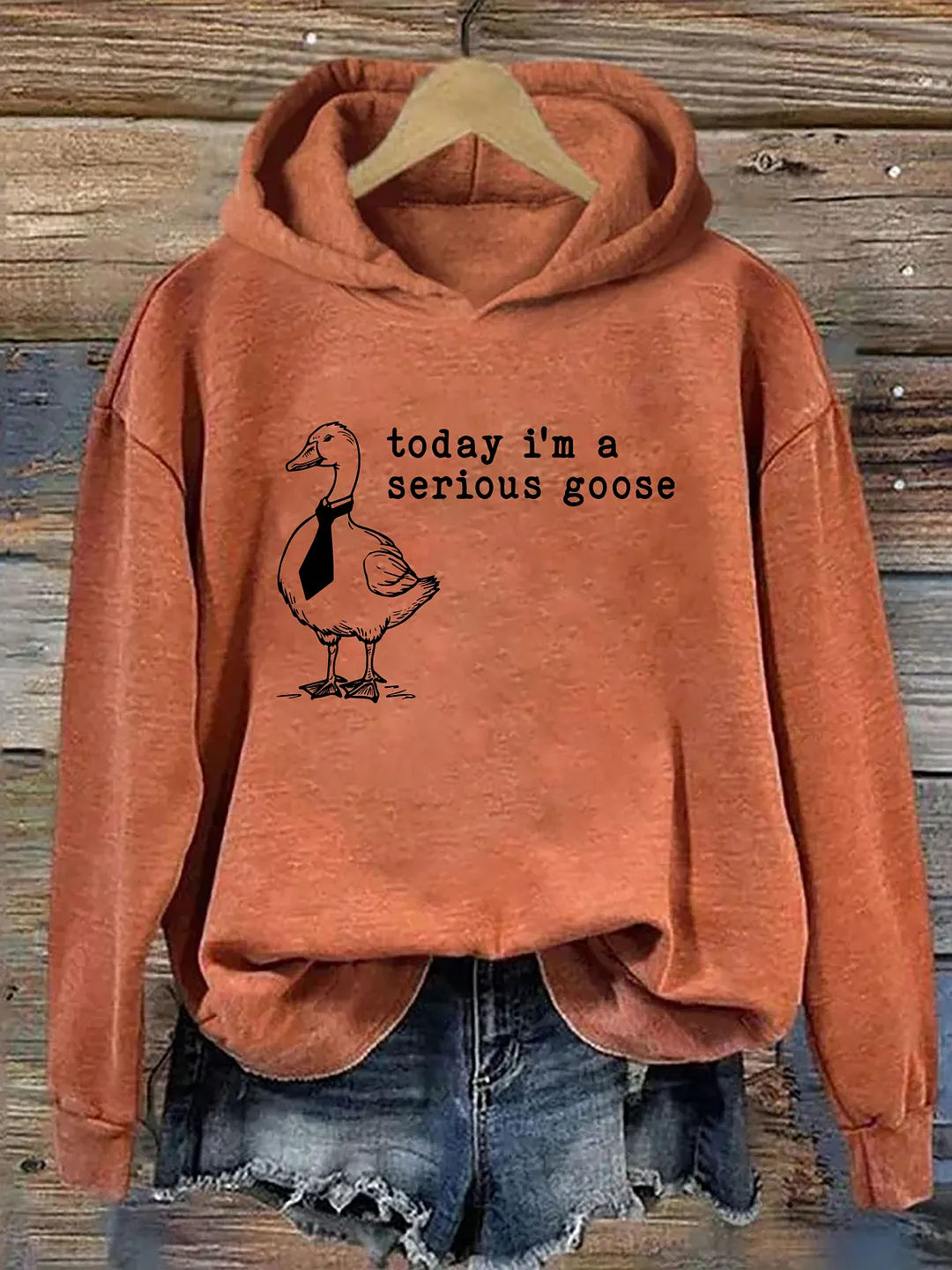 Today I'm a Serious Goose Hoodie