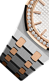 Silver Gold 904L Steel Silver White Dial - Watches - 33mm