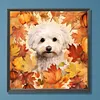 Maple Leaf Puppy-Paint by Numbers Acrylic Painting 40*40CM