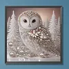 Owl-Partial Special Shaped Diamond Painting 30*30CM