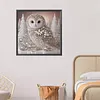 Owl-Partial Special Shaped Diamond Painting 30*30CM
