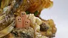 Desert Scene with LED - Pokemon Resin Statue - Gene Studios