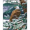 【Limited Stock Sale】Eagle Looking Out - 11CT Stamped Cross Stitch 55*67cm(Big Size)(Brand)