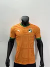 2024 Player Version C&ocirc;te d'Ivoire Home  Football Shirt 1:1 Thai Quality