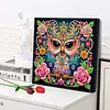 (Pre-Framed)Owl-Special Shape Diamond Painting Kit(29x29cm)